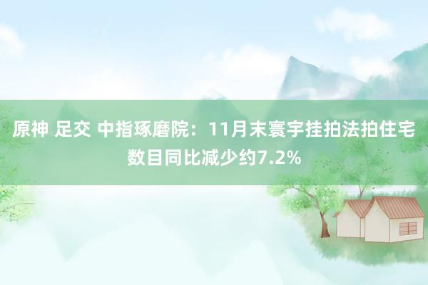 原神 足交 中指琢磨院：11月末寰宇挂拍法拍住宅数目同比减少约7.2%