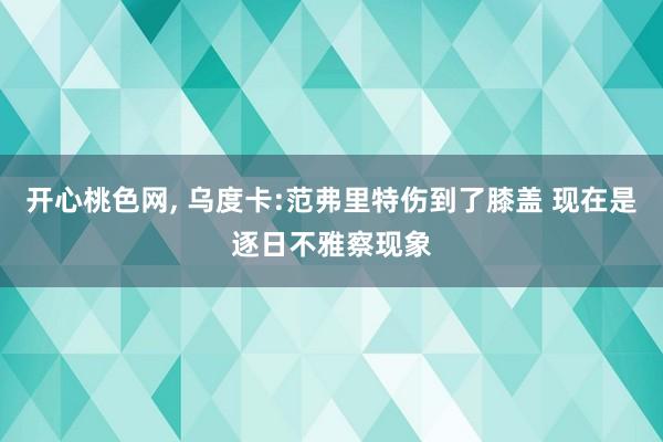 开心桃色网， 乌度卡:范弗里特伤到了膝盖 现在是逐日不雅察现象