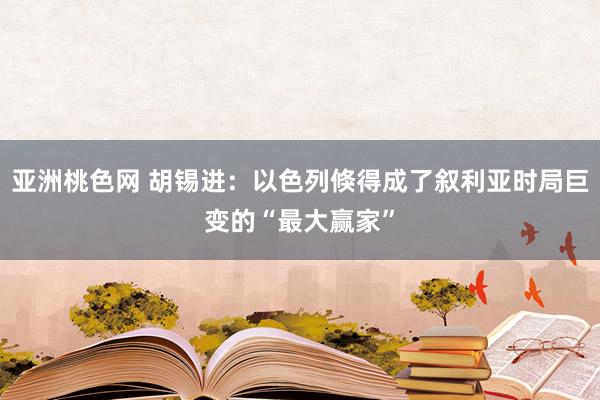 亚洲桃色网 胡锡进：以色列倏得成了叙利亚时局巨变的“最大赢家”