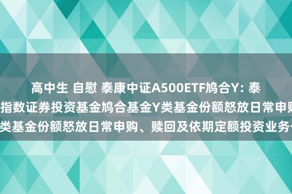 高中生 自慰 泰康中证A500ETF鸠合Y: 泰康中证A500往复型怒放式指数证券投资基金鸠合基金Y类基金份额怒放日常申购、赎回及依期定额投资业务公告