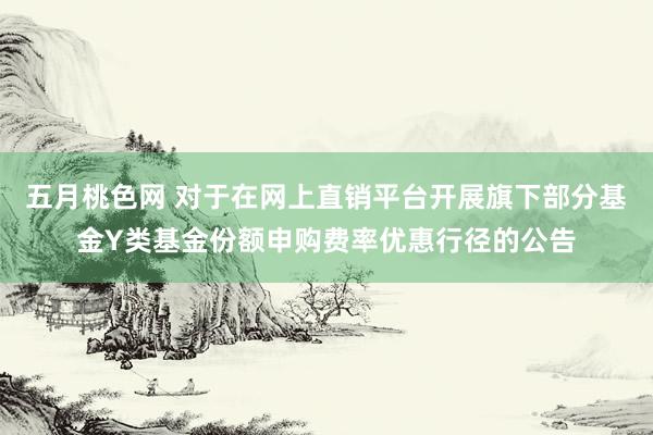 五月桃色网 对于在网上直销平台开展旗下部分基金Y类基金份额申购费率优惠行径的公告