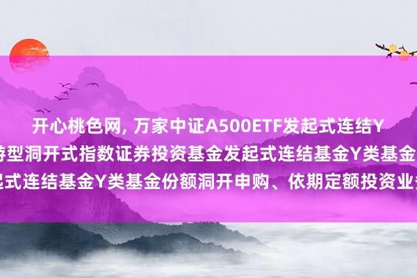 开心桃色网， 万家中证A500ETF发起式连结Y: 对于万家中证A500交游型洞开式指数证券投资基金发起式连结基金Y类基金份额洞开申购、依期定额投资业务的公告