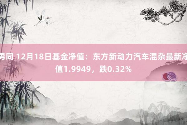 男同 12月18日基金净值：东方新动力汽车混杂最新净值1.9949，跌0.32%