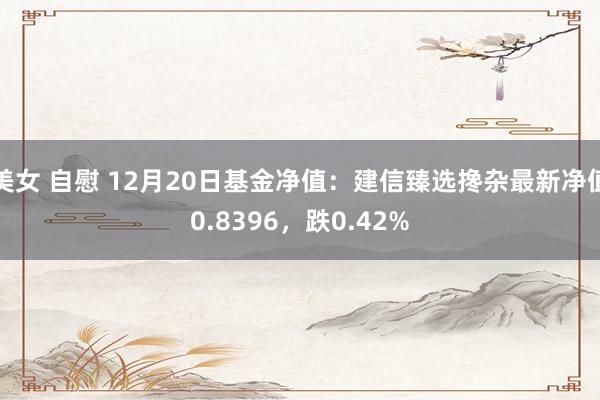 美女 自慰 12月20日基金净值：建信臻选搀杂最新净值0.8396，跌0.42%