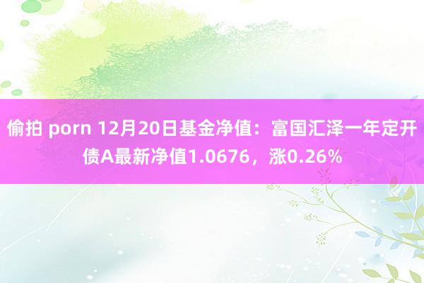 偷拍 porn 12月20日基金净值：富国汇泽一年定开债A最新净值1.0676，涨0.26%