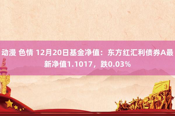 动漫 色情 12月20日基金净值：东方红汇利债券A最新净值1.1017，跌0.03%