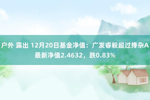 户外 露出 12月20日基金净值：广发睿毅超过搀杂A最新净值2.4632，跌0.83%