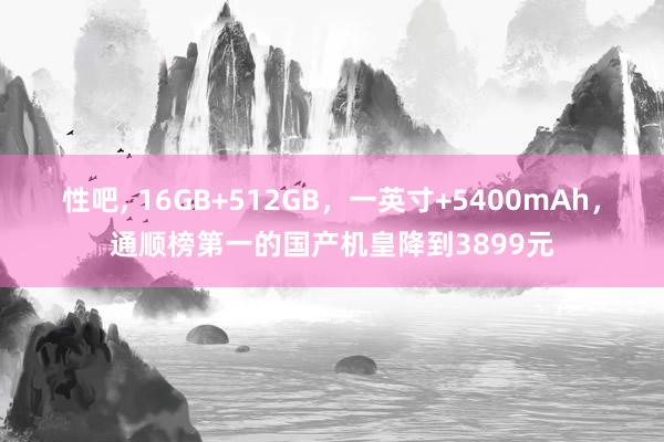 性吧， 16GB+512GB，一英寸+5400mAh，通顺榜第一的国产机皇降到3899元