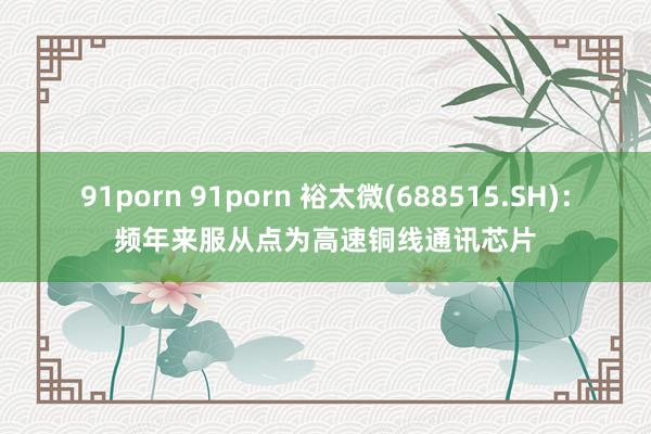 91porn 91porn 裕太微(688515.SH)：频年来服从点为高速铜线通讯芯片