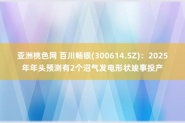 亚洲桃色网 百川畅银(300614.SZ)：2025年年头预测有2个沼气发电形状竣事投产