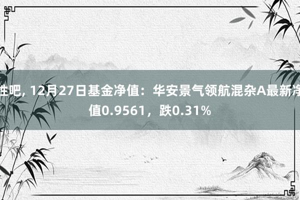 性吧， 12月27日基金净值：华安景气领航混杂A最新净值0.9561，跌0.31%