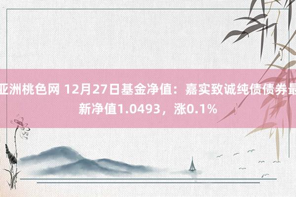 亚洲桃色网 12月27日基金净值：嘉实致诚纯债债券最新净值1.0493，涨0.1%