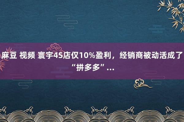 麻豆 视频 寰宇4S店仅10%盈利，经销商被动活成了“拼多多”...