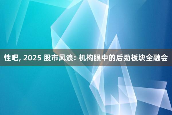 性吧， 2025 股市风浪: 机构眼中的后劲板块全融会