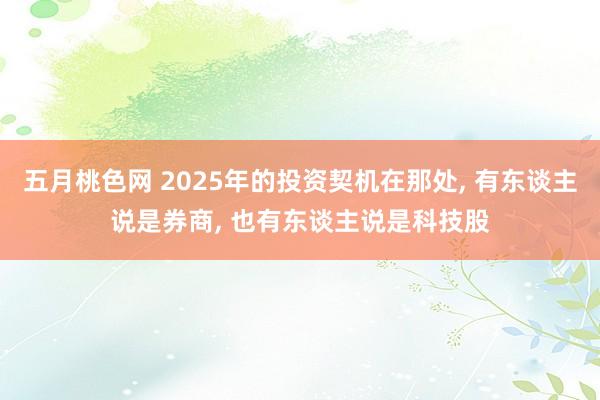 五月桃色网 2025年的投资契机在那处， 有东谈主说是券商， 也有东谈主说是科技股