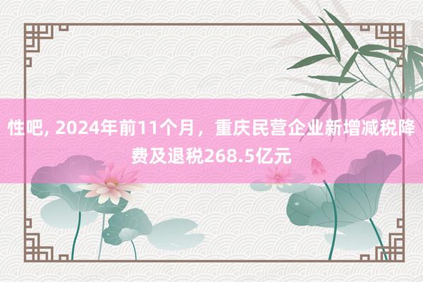 性吧， 2024年前11个月，重庆民营企业新增减税降费及退税268.5亿元