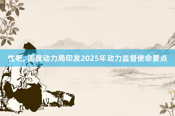 性吧， 国度动力局印发2025年动力监督使命要点