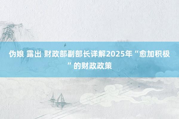 伪娘 露出 财政部副部长详解2025年“愈加积极”的财政政策