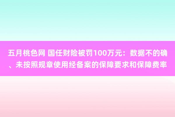 五月桃色网 国任财险被罚100万元：数据不的确、未按照规章使用经备案的保障要求和保障费率