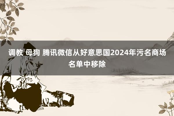 调教 母狗 腾讯微信从好意思国2024年污名商场名单中移除