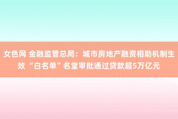 女色网 金融监管总局：城市房地产融资相助机制生效 “白名单”名堂审批通过贷款超5万亿元