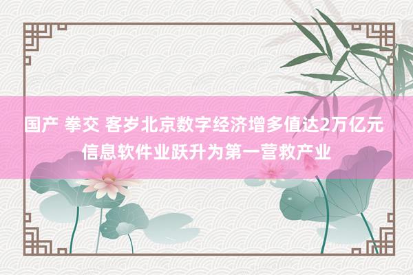 国产 拳交 客岁北京数字经济增多值达2万亿元 信息软件业跃升为第一营救产业