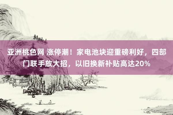 亚洲桃色网 涨停潮！家电池块迎重磅利好，四部门联手放大招，以旧换新补贴高达20%