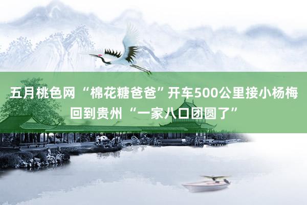 五月桃色网 “棉花糖爸爸”开车500公里接小杨梅回到贵州 “一家八口团圆了”